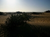 061205cervantes38.jpg