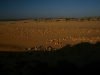 061205cervantes40.jpg