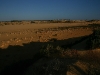 061205cervantes41.jpg