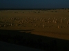 061205cervantes46.jpg