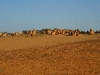 061205cervantes51.jpg