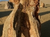 061205cervantes58.jpg