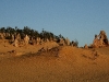 061205cervantes60.jpg