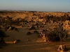 061205cervantes74.jpg