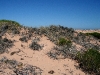 061209eaglebluff17.jpg