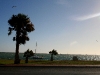 061209eaglebluff36.jpg