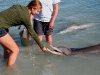 061209monkeymiadolphin20.jpg