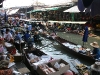 070126bangkok03.jpg