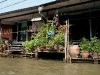 070126bangkok11.jpg