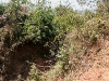 070217elephantriding11.jpg
