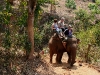 070217elephantriding14.jpg