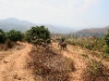 070217elephantriding17.jpg