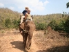 070217elephantriding18.jpg