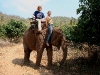 070217elephantriding19.jpg