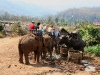 070217elephantriding20.jpg