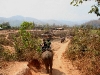 070217elephantriding22.jpg