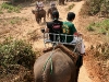 070217elephantriding24.jpg