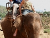 070217elephantriding25.jpg