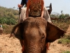 070217elephantriding26.jpg