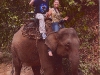 elephantriding.jpg