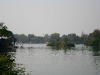 070302dondet13.jpg