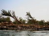070303dondet14.jpg