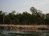 070303dondet15.jpg
