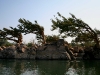 070303dondet16.jpg