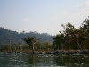 070303dondet17.jpg