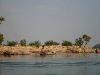 070303dondet18.jpg