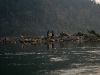 070303dondet33.jpg