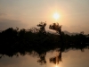 070303dondet37.jpg