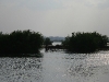 070304dondet13.jpg