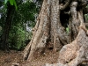 070307baphuon19.jpg