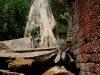 070307taprohm05.jpg