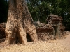 070307taprohm07.jpg