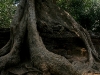 070307taprohm10.jpg