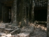 070307taprohm11.jpg