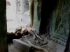 070307taprohm15.jpg