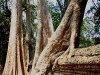 070307taprohm25.jpg