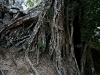 070307taprohm26.jpg