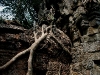 070307taprohm30.jpg