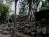 070307taprohm33.jpg