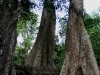 070307taprohm34.jpg