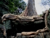 070307taprohm37.jpg