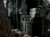 070307taprohm38.jpg