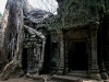 070307taprohm40.jpg