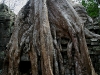 070307taprohm42.jpg