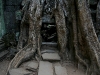070307taprohm43.jpg