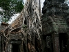 070307taprohm50.jpg